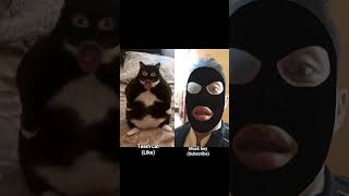 clik like you can see little cat on the like #cat #trend# colab
