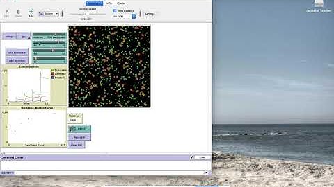 Enzyme Simulation Netlogo - How to collect data