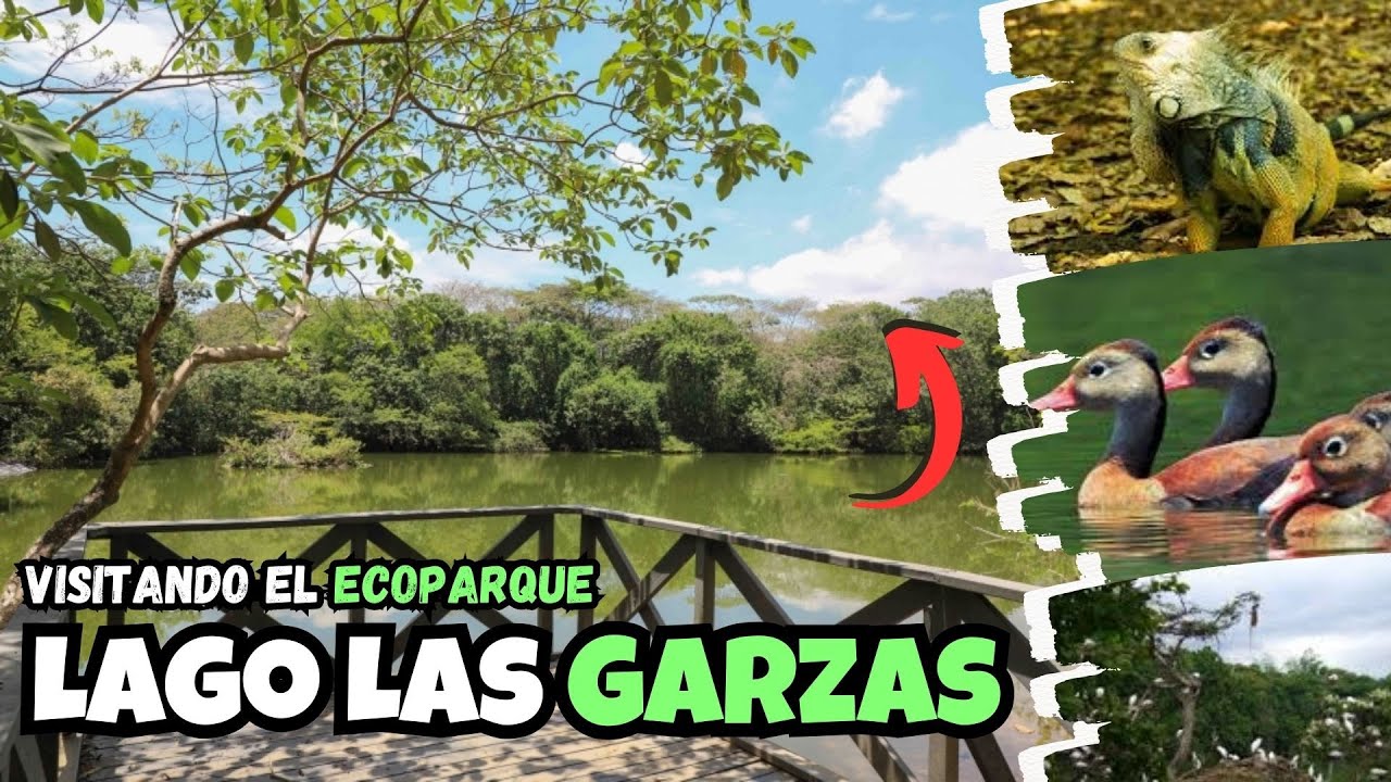 ECOPARQUE LAS GARZAS Cali / El único bosque Tropical de la ciudad