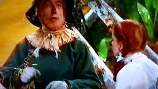 The Wizard Of Oz - If I Only Had A Brain