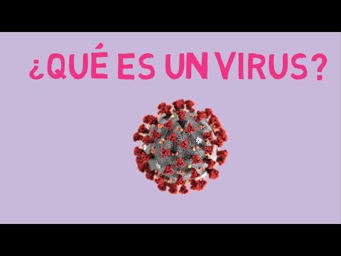 Video: ¿Qué es el virus pleomórfico?