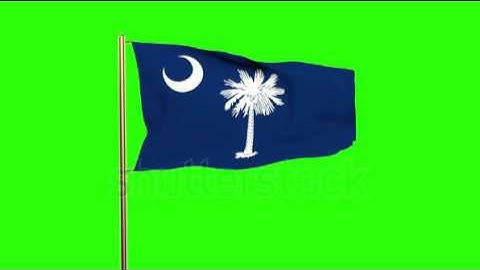 south carolina flag waving in the wind. Green screen, alpha matte. Loopable animation Stock video
