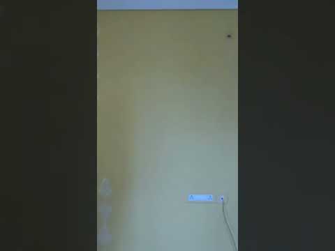 Wall Stenciling | Focal Wall | #shortsindia