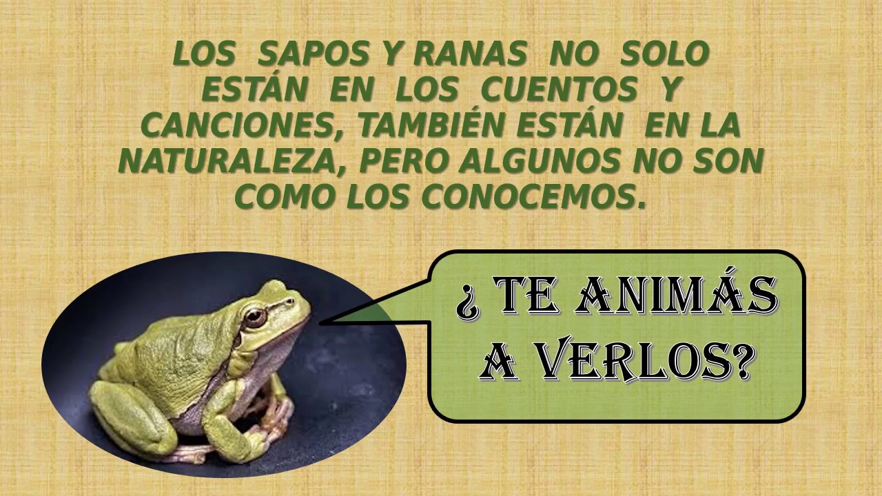 SAPOS Y RANAS RAROS EN LA NATURALEZA