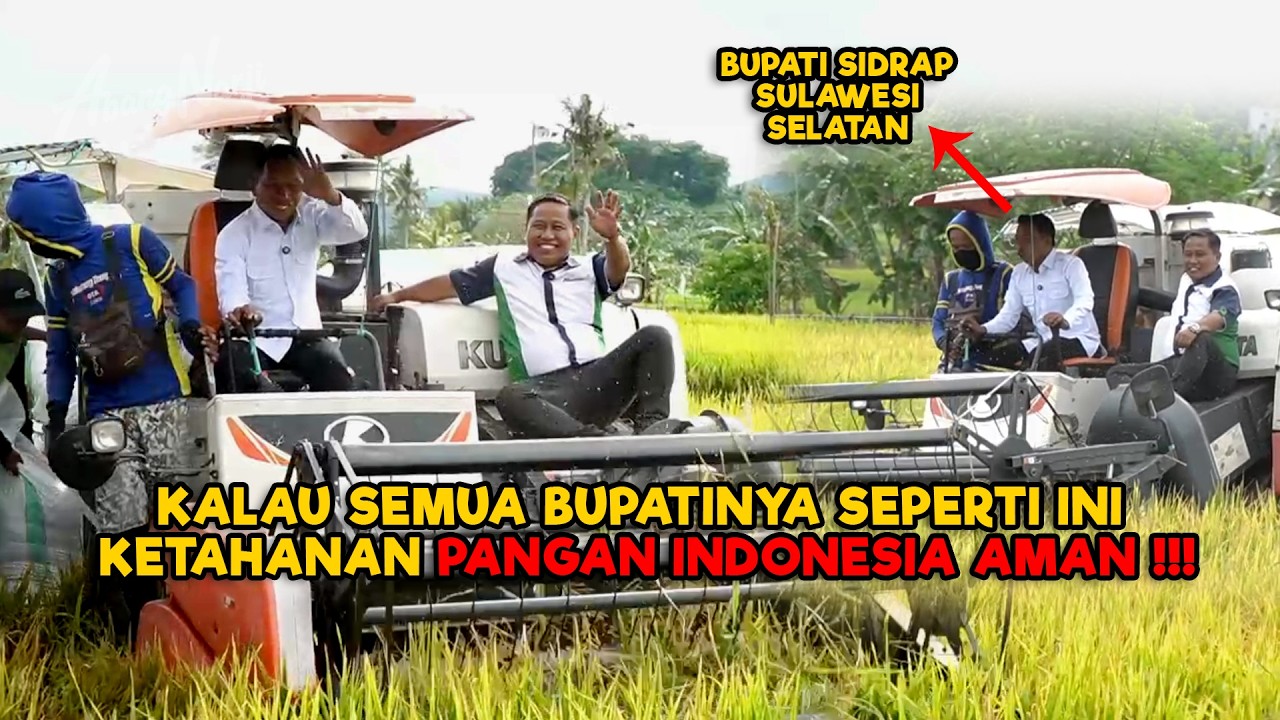 KALAU SEMUA BUPATINYA SEPERTI INI KETAHANAN PANGAN INDONESIA AMAN !!! #juraganlahan #narji #petani