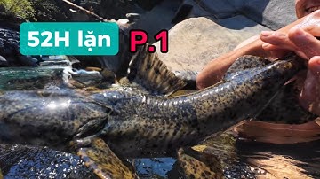 52H lặn thượng nguồn sông Đồng Nai truy tìm cá lăng đá khủng, phần 1, Ninh miền núi.