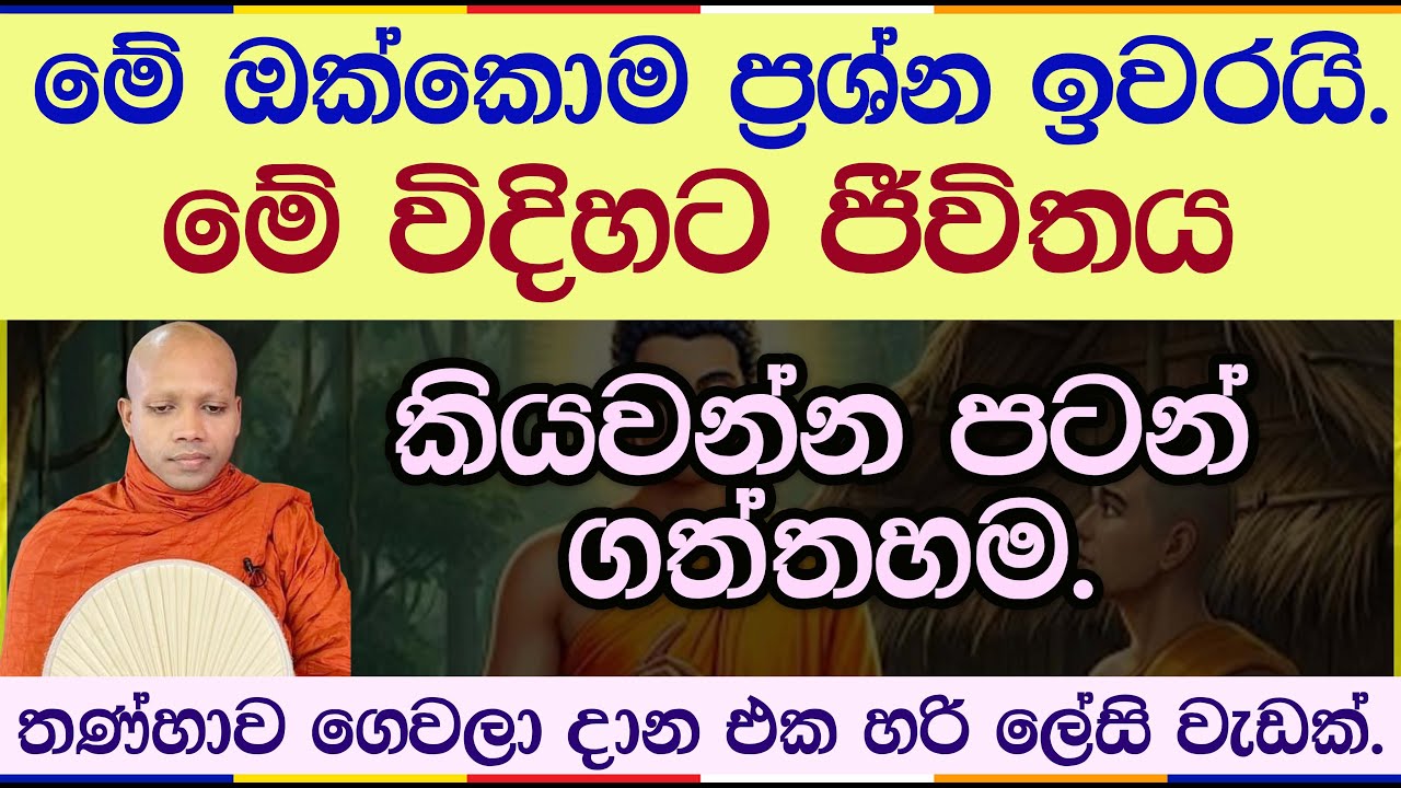 මේ වීදියට ජීවිතය කියවා බැලීමමයි දුකේ නිමාව | Hasalaka Seelawimala Thero | Vipassana No (2977)