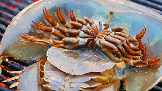 Thailand Street Food  HORSESHOE CRAB EGGS