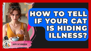 How To Tell If Your Cat Is Hiding Illness? - Happy Cat Handbook