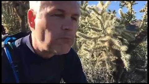 Eating a Hedgehog Cactus (Pickle of the Desert) for Survival