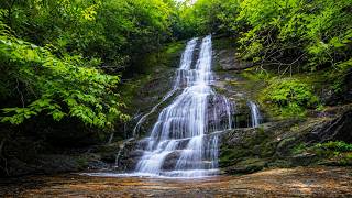 Lower Wildcat Falls - NC