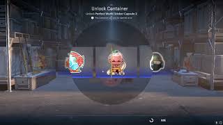 Cs2 10X Perfect World Sticker Capsule 2 Opening