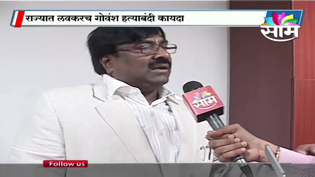 Spotlight : Government to bring a law to ban cow slaughter in Maharashtra