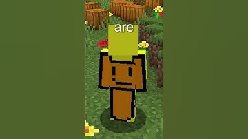 What Are Dimensions In Minecraft?