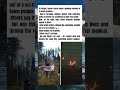 Finland’s Glowing Reindeer: A Brilliant Way to Save Lives 🌌🦌
