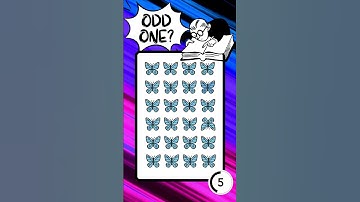 Puzzle Variety Pack: A Collection of Diverse Brain Teasers