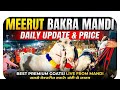 Meerut BAKRAMANDI daily update #azharvlogs #goat #bakr #bakramandi #meerut #viral #trending #animal