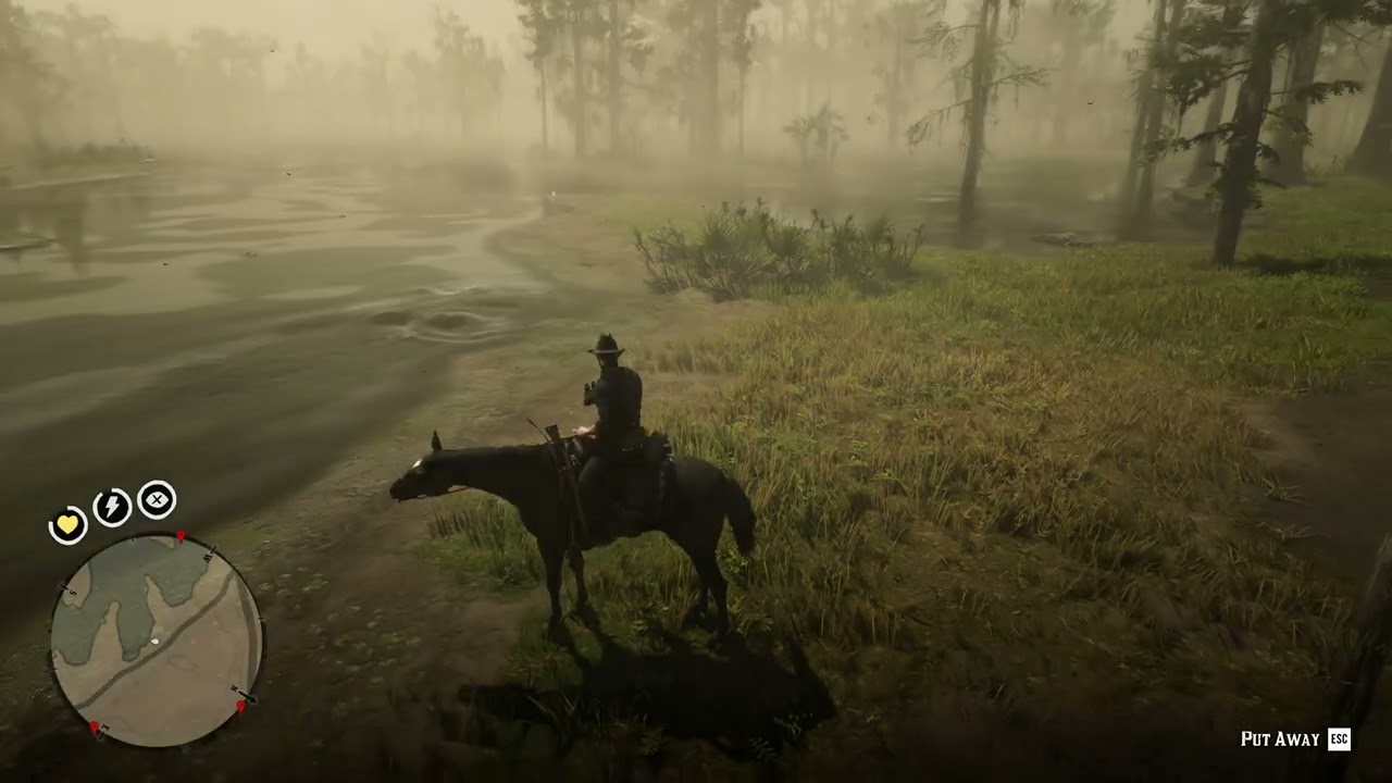 58. Little Egret location RDR2