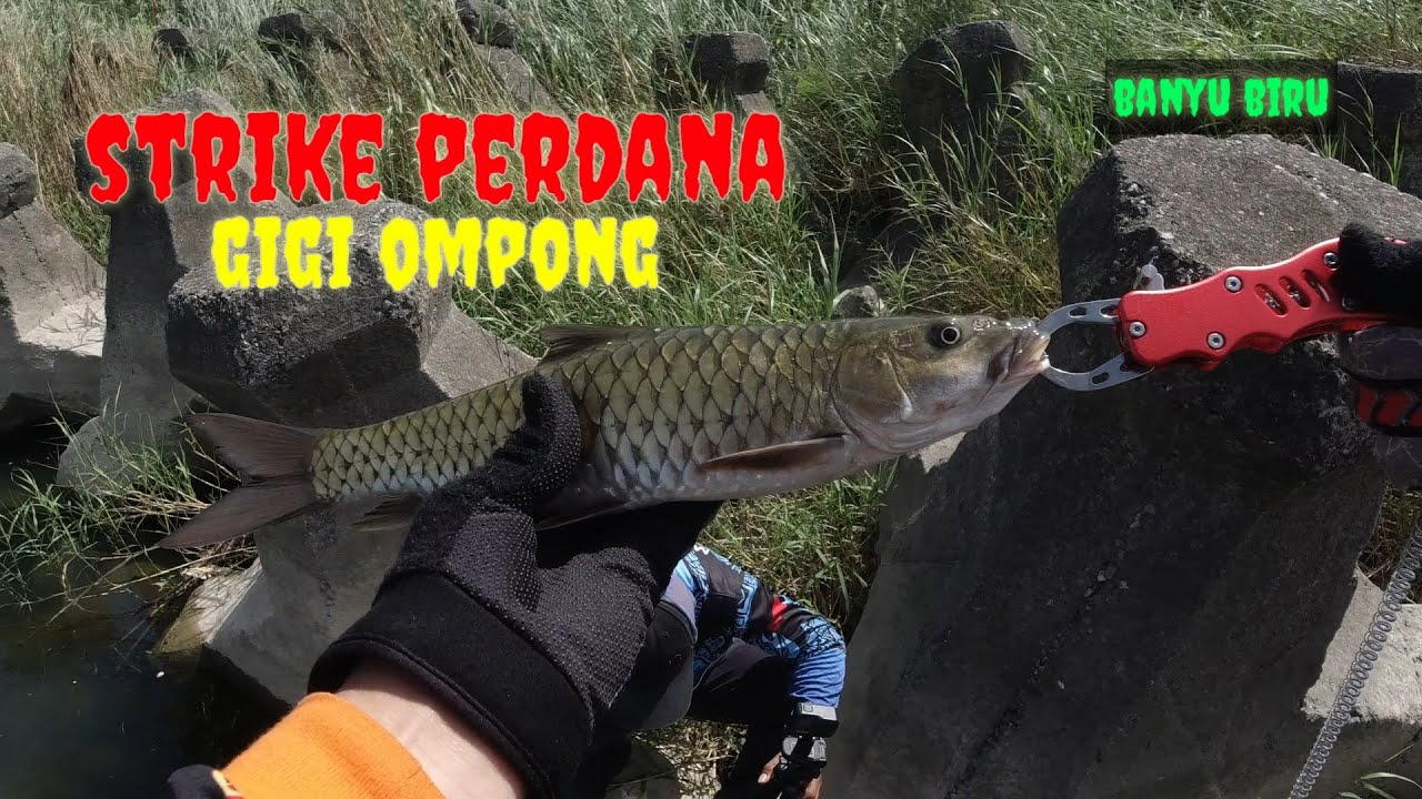 CASTING IKAN HAMPALA DI SUNGAI AIR DERAS