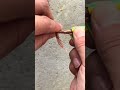 Pro Tips for Clean &amp; Safe Wire Connections 🔧⚡#shrots