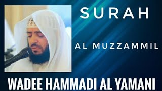 SURAH AL MUZZAMMIL| AlQURAN | WADEE HAMMADI AL YAMANI | NICE VOICE AND RECITATION #quran #surah