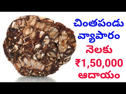 చింతపండు వ్యాపారం | new business 2020 | business idea | 2020 business idea in telugu | good business