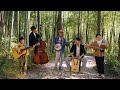 Amarillo by morning  bluegrass cover