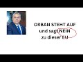 Brisante Botschaft aus Ungarn: Orban warnt Brüssel vor dem Alaska-Gipfel am 15. August