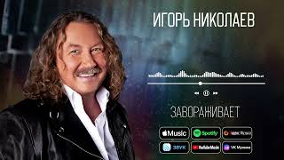 Игорь Николаев - Завораживает | Аудио