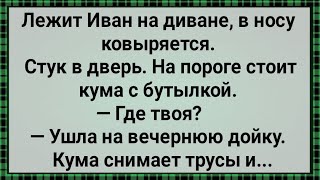 Как Жена На Вечернюю Дойку Ушла! Сборник Веселых Анекдотов! Юмор!