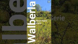 #Shorts #Frühling #2026 #Walberla #Wandern #FränkischeSchweiz #Franken #Aussicht #Natur #Ausflug
