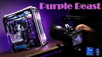 Singularity - Purple Beast