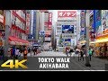 Walking in Tokyo. Akihabara electric town 秋葉原,  2018. Shot with a DJI Osmo Mobile 2