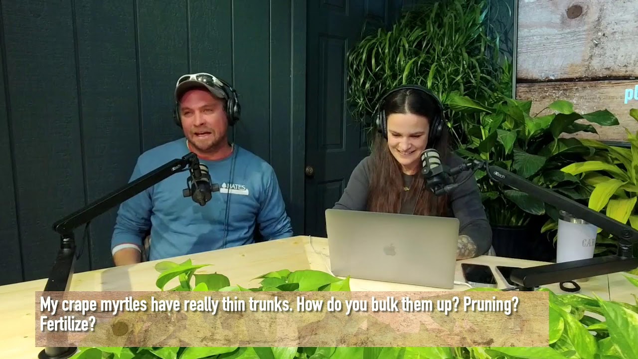 When to plant winter vegetables, native seeds, bulbs, and much more! | Gardening Inside Out | 1-6-24