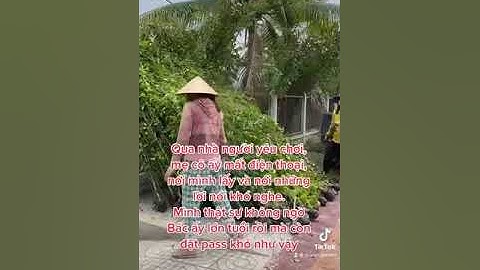 Hàng rào bằng cây xanh 0913342211