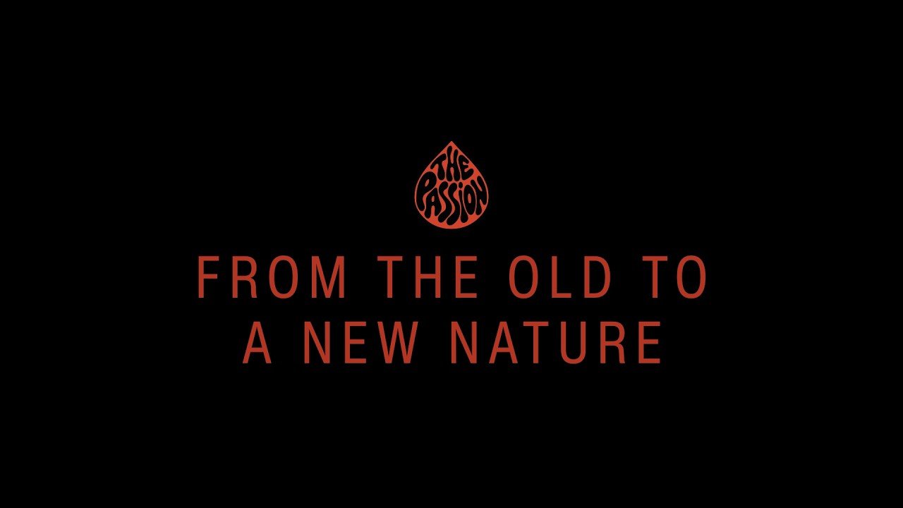 4.10.26 From The Old to A New Nature
