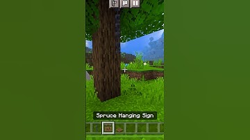 Realistic Swing In Minecraft!!!#minecraft #build #shorts