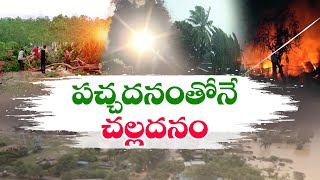 Disappearing Greenery | India Lost Tree & Forest Of Hectare Past Years || Idi Sangathi