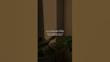 ادعموني ب متابعه...🤍تلاوة من سورةالقصص القارئ زیاد محمد حامد #زياد_محمد