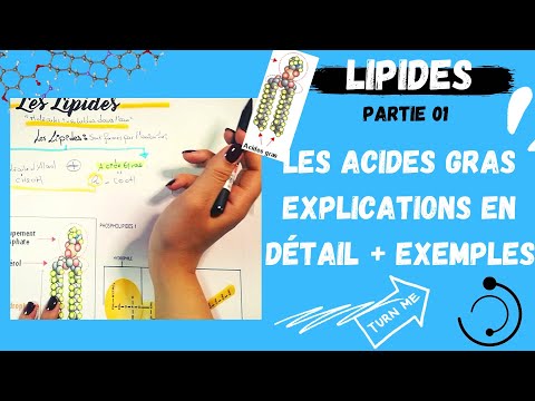 📣(1) Les Lipides Partie1 :Les Acides Gras explication en détail + des exemples(اقوى مراجعة لللبيدات)