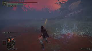 All Invisible Scarabs in Elden ring Information