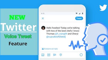 How to use Twitter voice tweet - MoltX