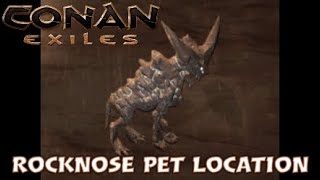 Rocknose Pet Location - Conan Exiles