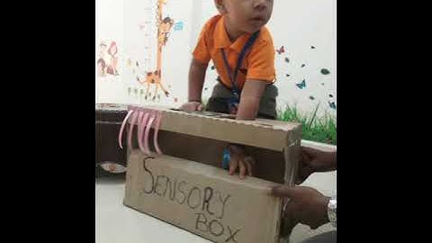 Sensory Motor Skills