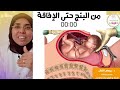 كم يستغرق وقت العملية القيصرية ❓🤔(خطوات وطبقات الفتح والتقفيل ) الشرح العربى الوحيد👌|د.ريهام الشال