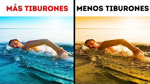 ¿Qué hacer si te rodean tiburones?