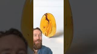 how to spot real Amber vs. fake Amber!