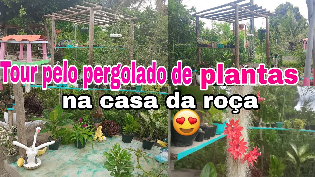 Tour pelo pergolado com plantas + Dicas de jardinagem na casa da roça 🤠