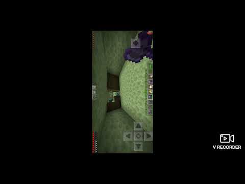 mainqravt. გიგის მაპში ბაზა მაქ.