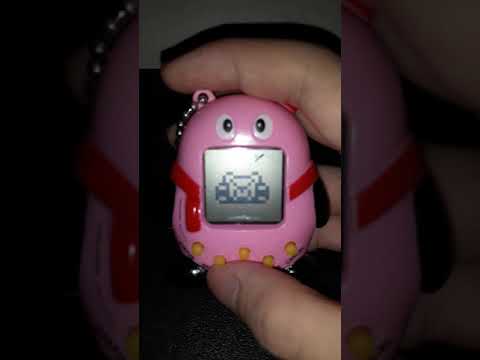 I figured out the Tamagotchi code to the key!